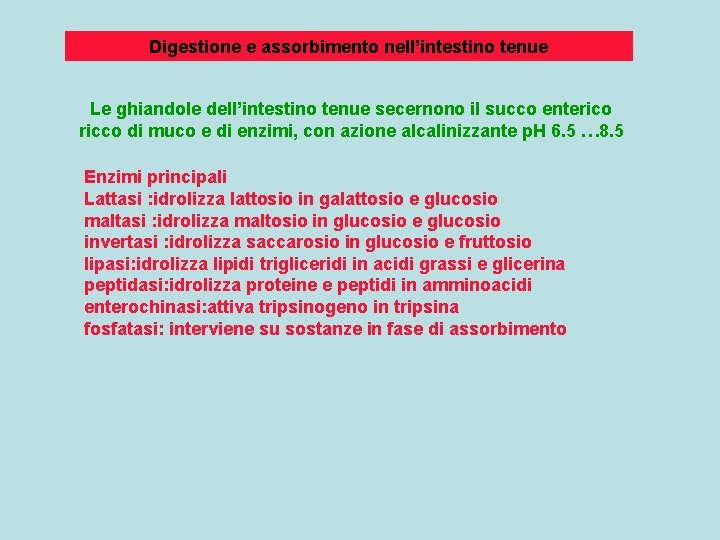 Digestione e assorbimento nell’intestino tenue Le ghiandole dell’intestino tenue secernono il succo enterico ricco