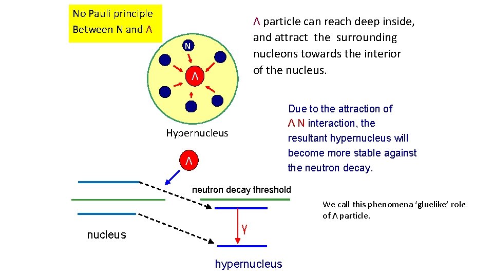 No Pauli principle Between N and Λ Λ particle can reach deep inside, and