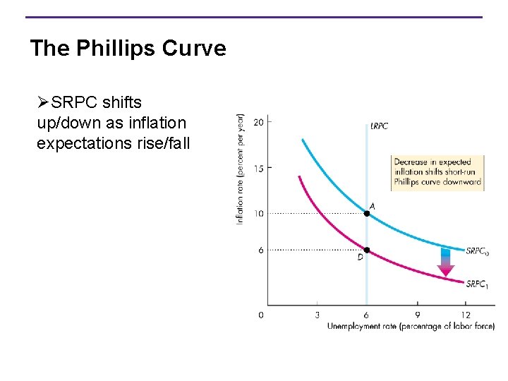 The Phillips Curve ØSRPC shifts up/down as inflation expectations rise/fall 