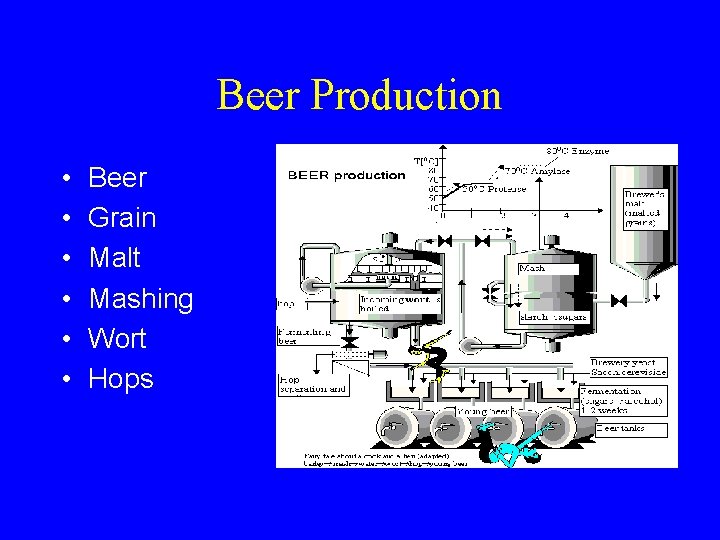 Beer Production • • • Beer Grain Malt Mashing Wort Hops 