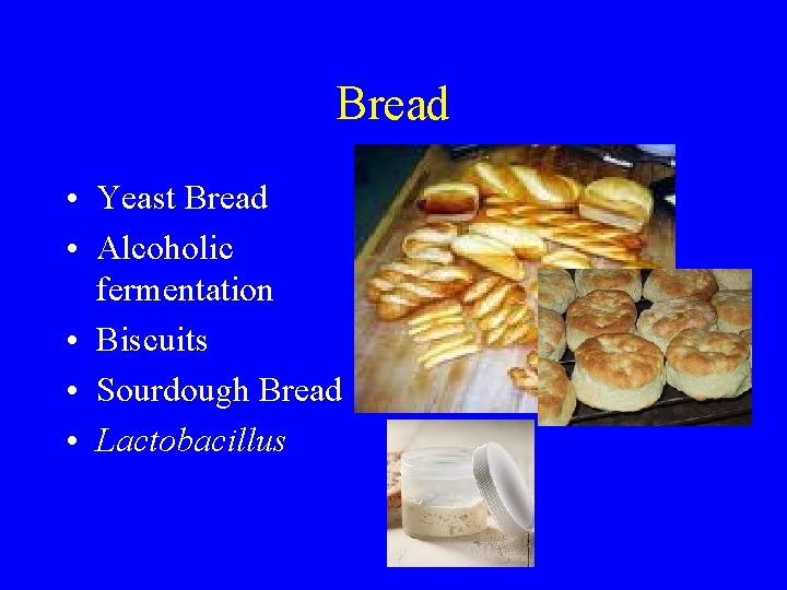 Bread • Yeast Bread • Alcoholic fermentation • Biscuits • Sourdough Bread • Lactobacillus