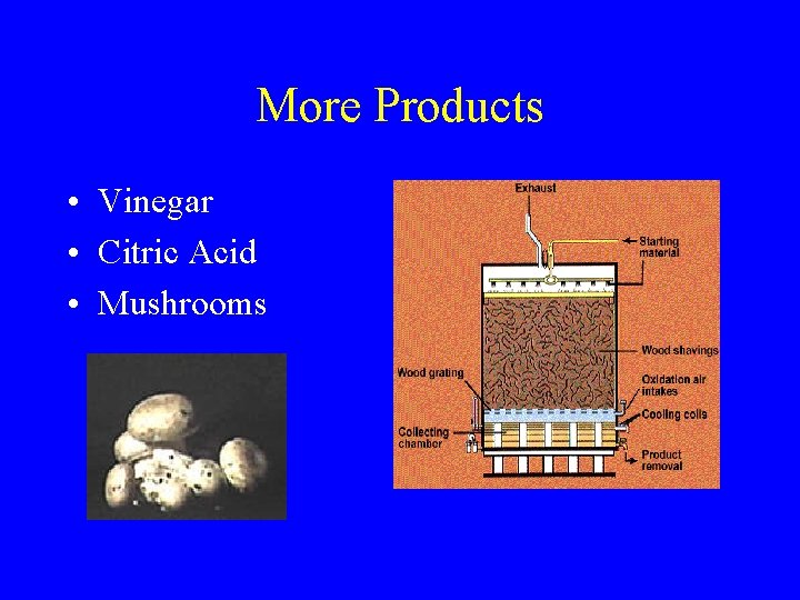 More Products • Vinegar • Citric Acid • Mushrooms 