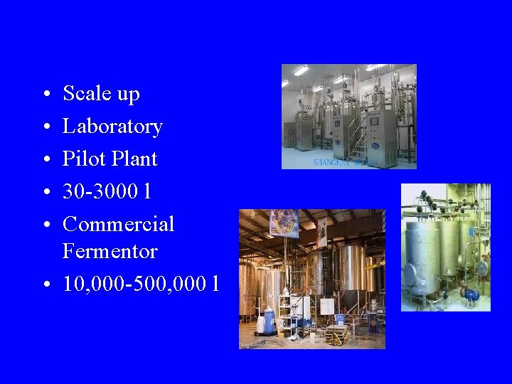  • • • Scale up Laboratory Pilot Plant 30 -3000 l Commercial Fermentor