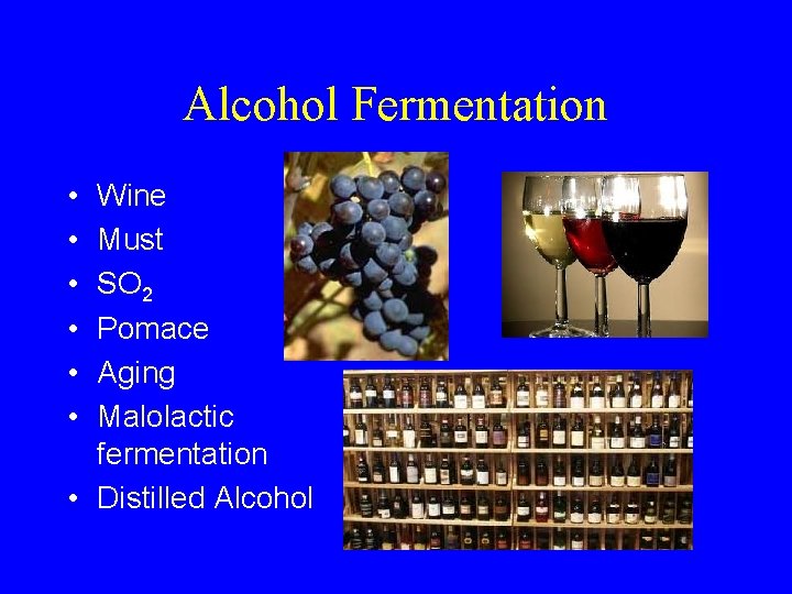 Alcohol Fermentation • • • Wine Must SO 2 Pomace Aging Malolactic fermentation •