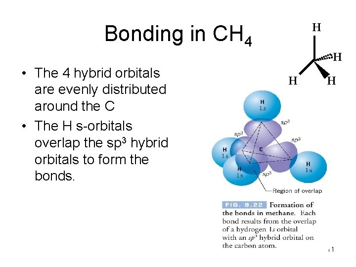 H Bonding in CH 4 H • The 4 hybrid orbitals are evenly distributed