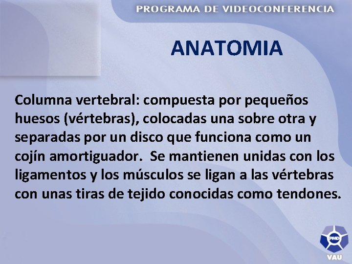 ANATOMIA Columna vertebral: compuesta por pequeños huesos (vértebras), colocadas una sobre otra y separadas