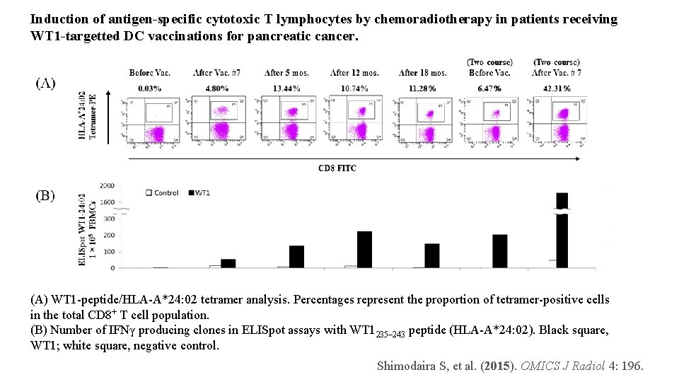 Induction of antigen-specific cytotoxic T lymphocytes by chemoradiotherapy in patients receiving WT 1 -targetted