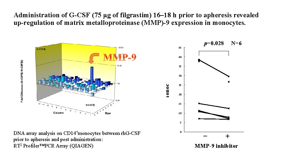 Administration of G-CSF (75 μg of filgrastim) 16– 18 h prior to apheresis revealed