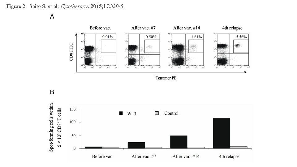 Figure 2. Saito S, et al: Cytotherapy. 2015; 17: 330 -5. 