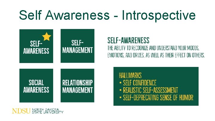 Self Awareness - Introspective 