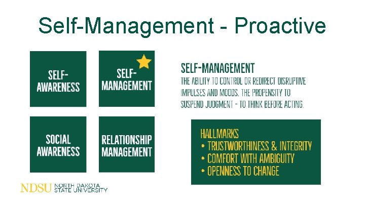 Self-Management - Proactive 
