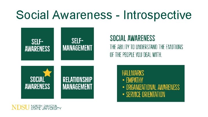 Social Awareness - Introspective 