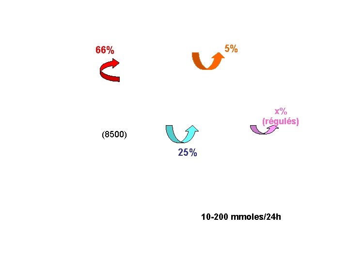 5% 66% x% (régulés) (8500) 25% 10 -200 mmoles/24 h 