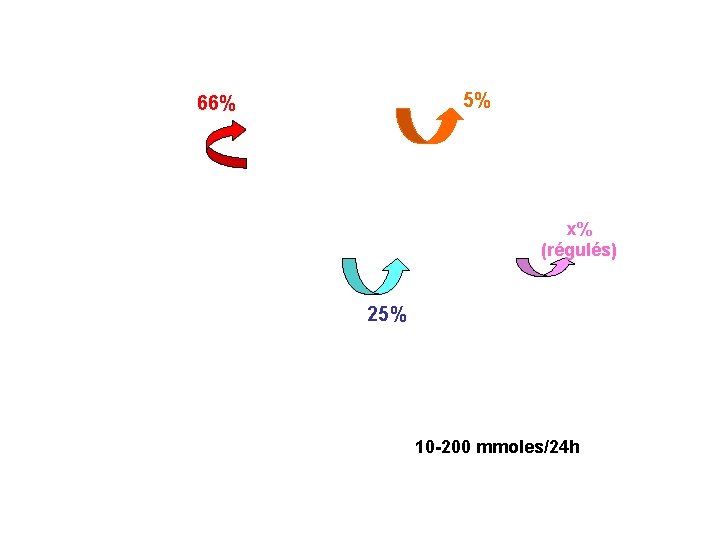 5% 66% x% (régulés) 25% 10 -200 mmoles/24 h 