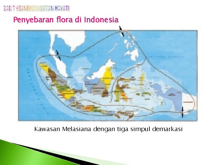 Penyebaran flora di Indonesia Kawasan Melasiana dengan tiga simpul demarkasi 