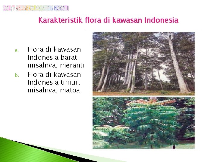 Karakteristik flora di kawasan Indonesia a. b. Flora di kawasan Indonesia barat misalnya: meranti