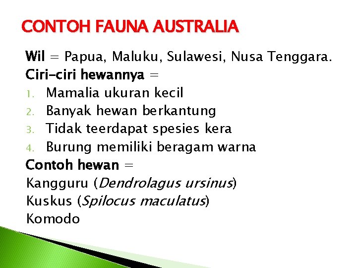 CONTOH FAUNA AUSTRALIA Wil = Papua, Maluku, Sulawesi, Nusa Tenggara. Ciri-ciri hewannya = 1.