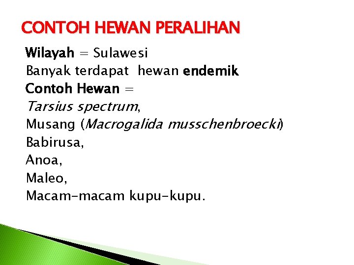 CONTOH HEWAN PERALIHAN Wilayah = Sulawesi Banyak terdapat hewan endemik Contoh Hewan = Tarsius
