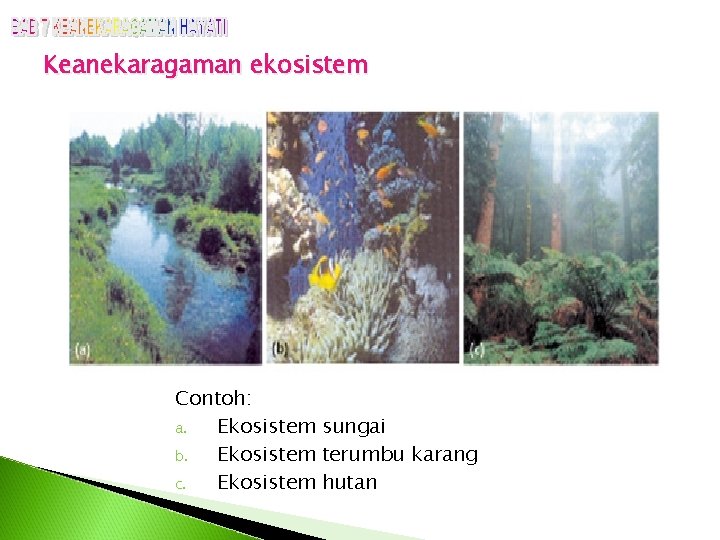 Keanekaragaman ekosistem Contoh: a. Ekosistem sungai b. Ekosistem terumbu karang c. Ekosistem hutan 