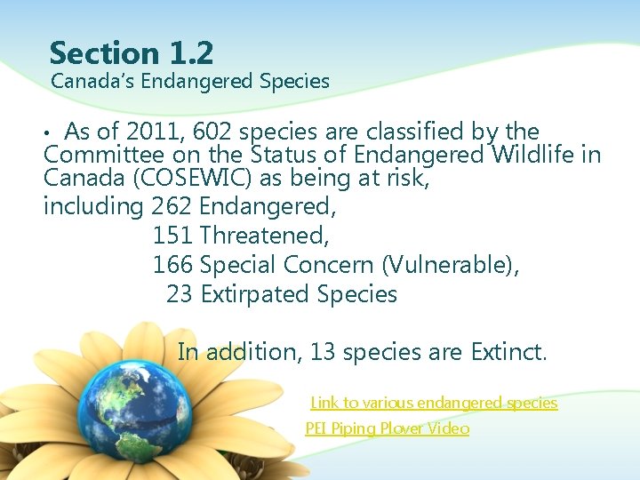 Section 1. 2 Canada’s Endangered Species As of 2011, 602 species are classified by
