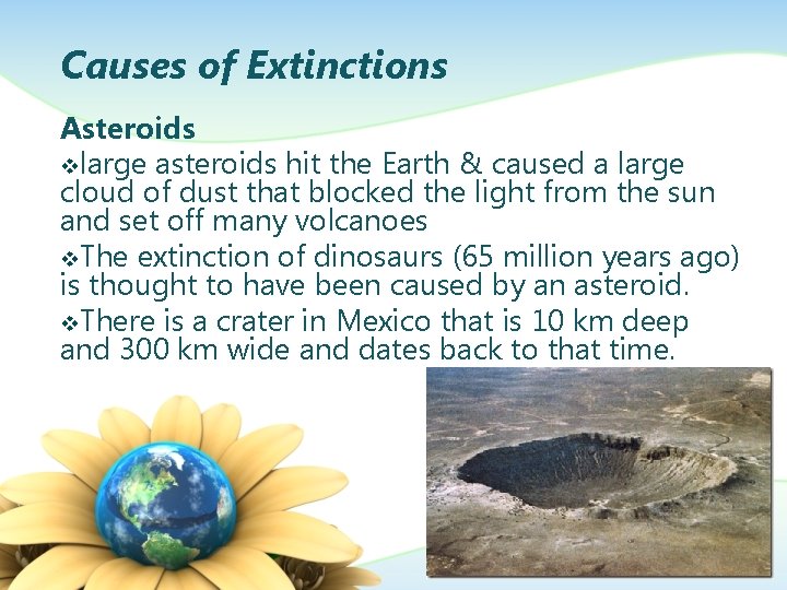 Causes of Extinctions Asteroids vlarge asteroids hit the Earth & caused a large cloud