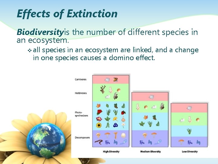 Effects of Extinction Biodiversityis the number of different species in an ecosystem. v all