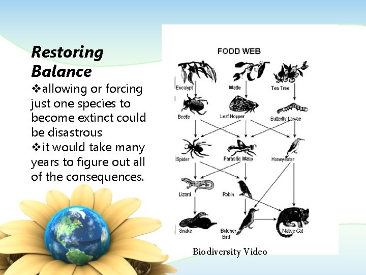 Restoring Balance vallowing or forcing just one species to become extinct could be disastrous