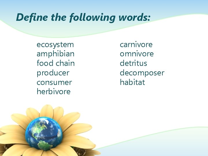 Define the following words: ecosystem amphibian food chain producer consumer herbivore carnivore omnivore detritus