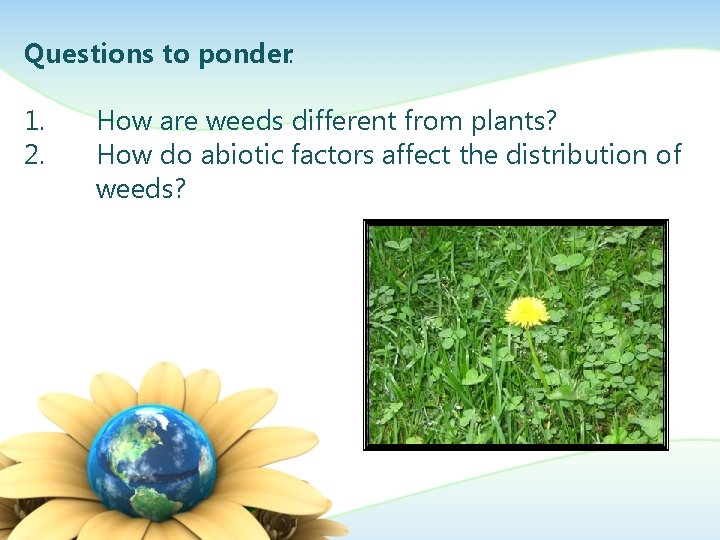 Questions to ponder: 1. 2. How are weeds different from plants? How do abiotic