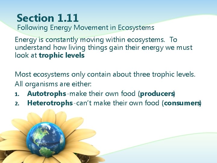 Section 1. 11 Following Energy Movement in Ecosystems Energy is constantly moving within ecosystems.