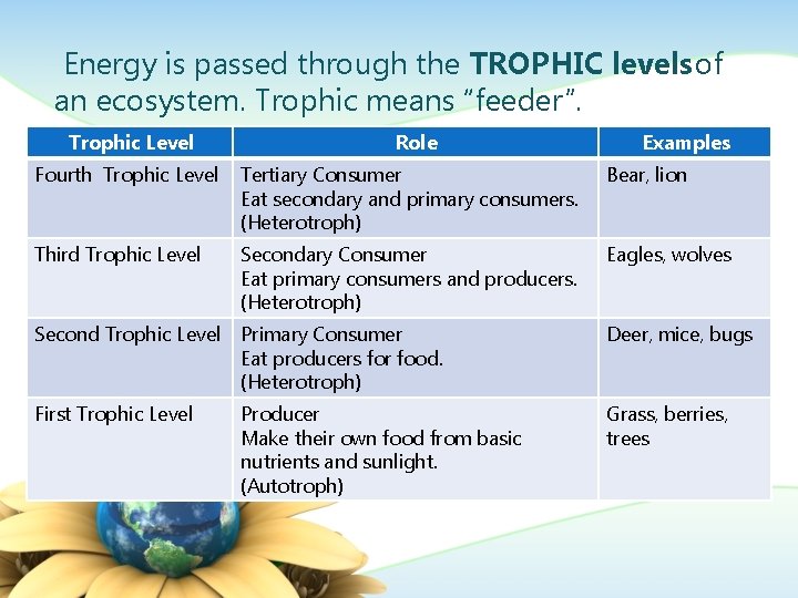  Energy is passed through the TROPHIC levels of an ecosystem. Trophic means “feeder”.