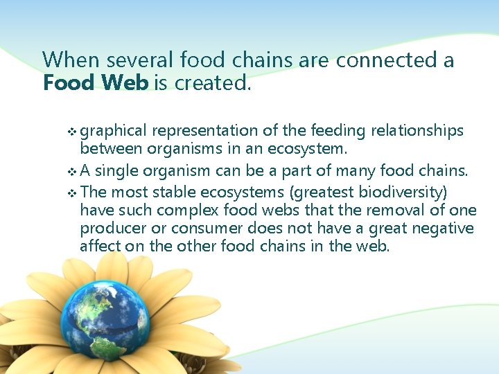 When several food chains are connected a Food Web is created. v graphical representation