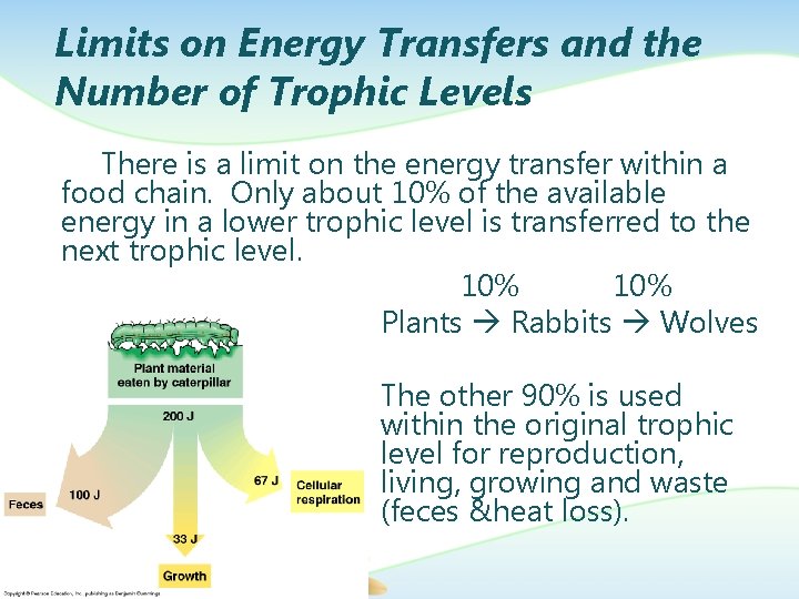 Limits on Energy Transfers and the Number of Trophic Levels There is a limit
