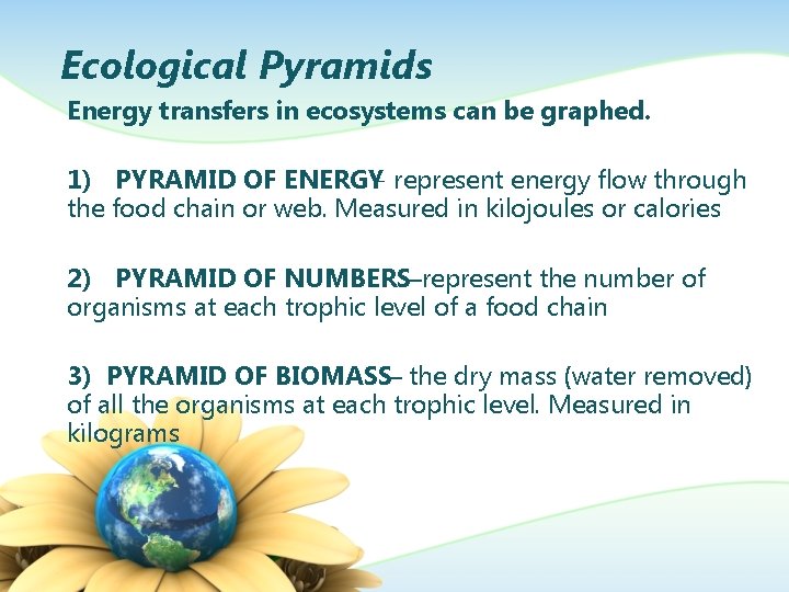Ecological Pyramids Energy transfers in ecosystems can be graphed. 1) PYRAMID OF ENERGY- represent