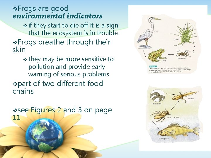 v. Frogs are good environmental indicators v if they start to die off it