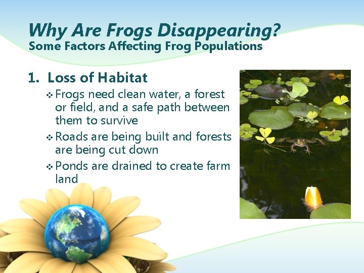 Why Are Frogs Disappearing? Some Factors Affecting Frog Populations 1. Loss of Habitat v
