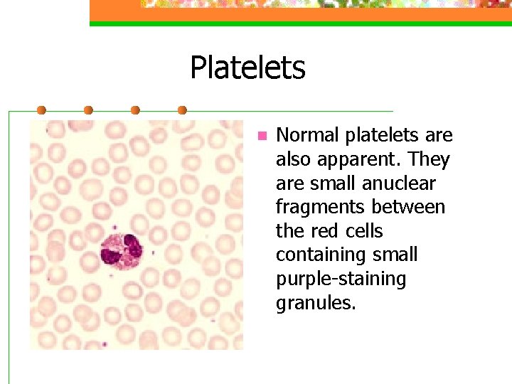 Platelets n Normal platelets are also apparent. They are small anuclear fragments between the