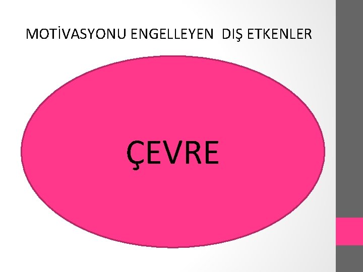 MOTİVASYONU ENGELLEYEN DIŞ ETKENLER ÇEVRE 