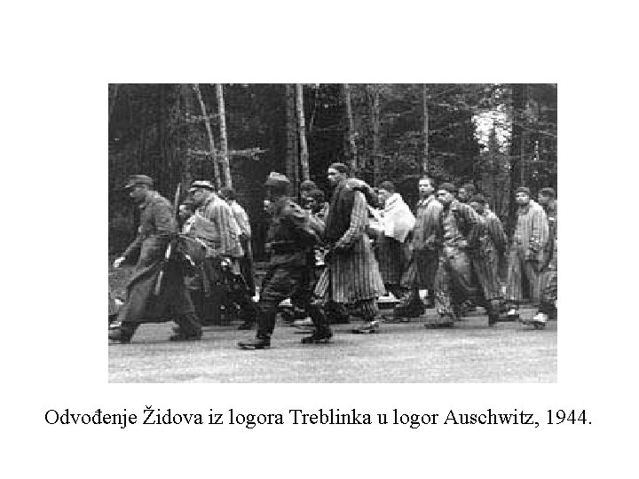 Odvođenje Židova iz logora Treblinka u logor Auschwitz, 1944. 