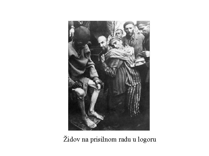 Židov na prisilnom radu u logoru 