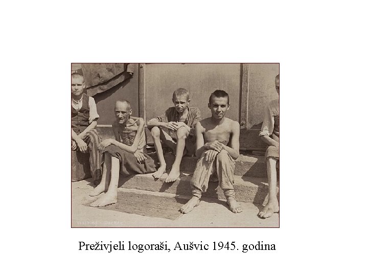 Preživjeli logoraši, Aušvic 1945. godina 