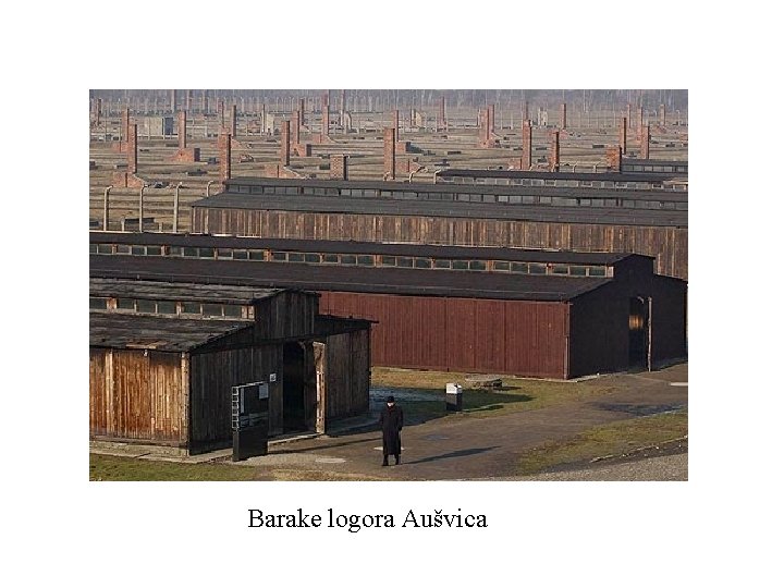 Barake logora Aušvica 