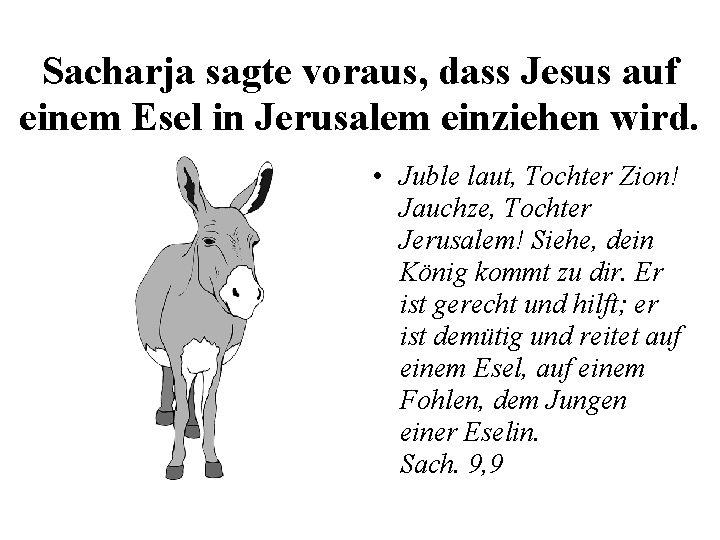 Sacharja sagte voraus, dass Jesus auf einem Esel in Jerusalem einziehen wird. • Juble