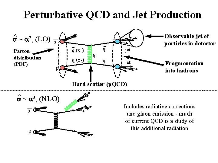 Perturbative QCD and Jet Production ^ ~ a 2 (LO) s s Parton distribution