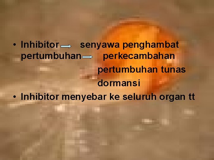  • Inhibitor senyawa penghambat pertumbuhan perkecambahan pertumbuhan tunas dormansi • Inhibitor menyebar ke