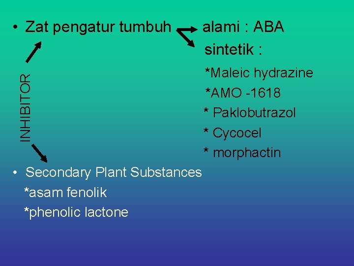 alami : ABA sintetik : INHIBITOR • Zat pengatur tumbuh • Secondary Plant Substances