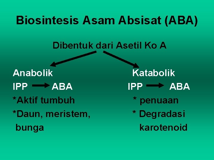 Biosintesis Asam Absisat (ABA) Dibentuk dari Asetil Ko A Anabolik IPP ABA *Aktif tumbuh