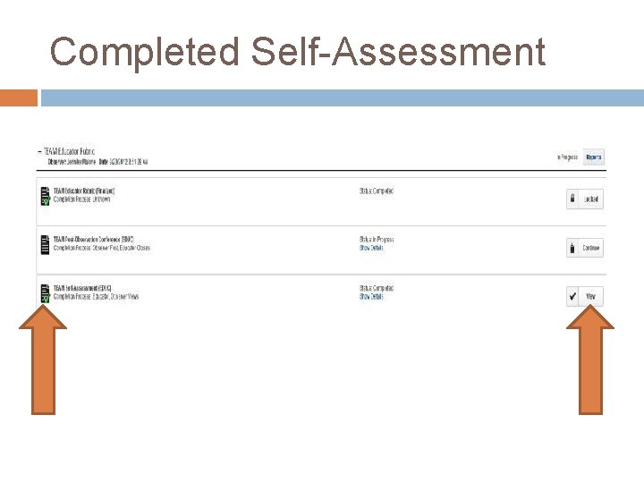 Completed Self-Assessment 