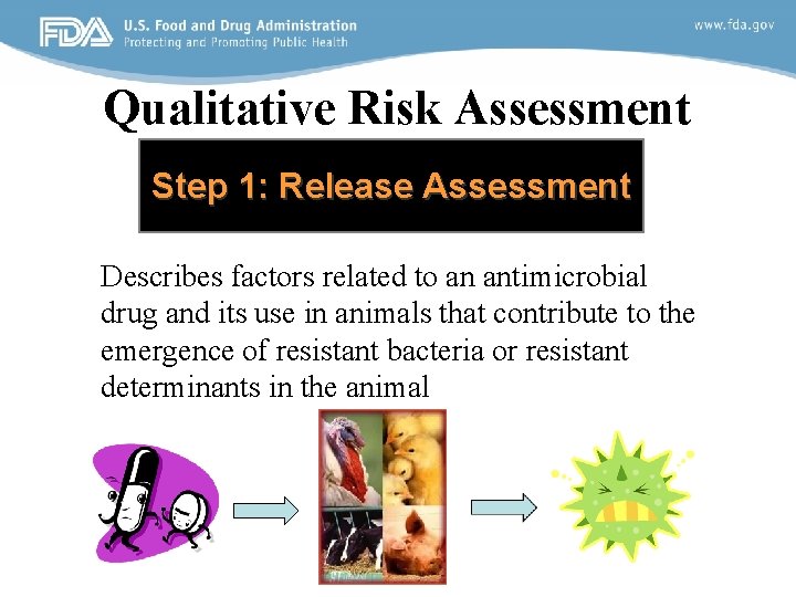 Qualitative Risk Assessment Step 1: Release Assessment Describes factors related to an antimicrobial drug