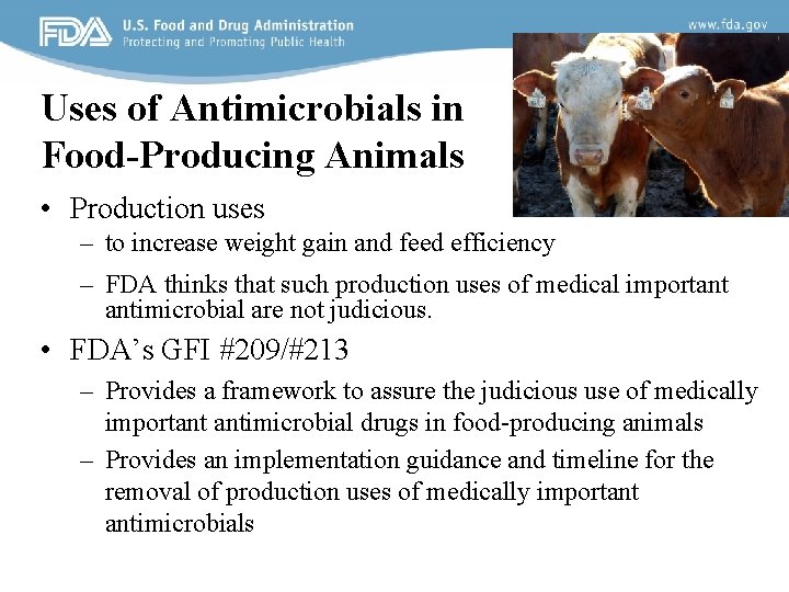 Uses of Antimicrobials in Food-Producing Animals • Production uses – to increase weight gain